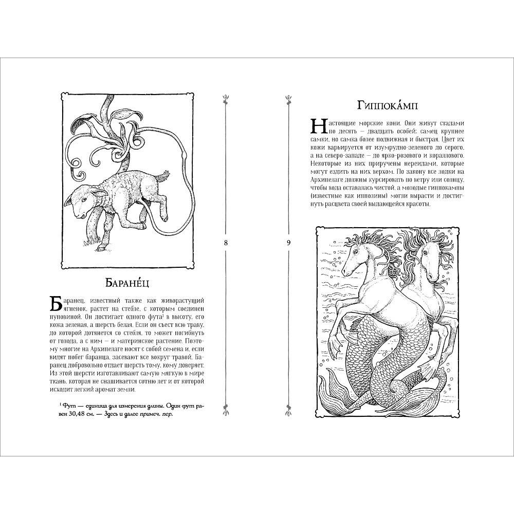 Книга "Невероятные создания", Кэтрин Ранделл - 2