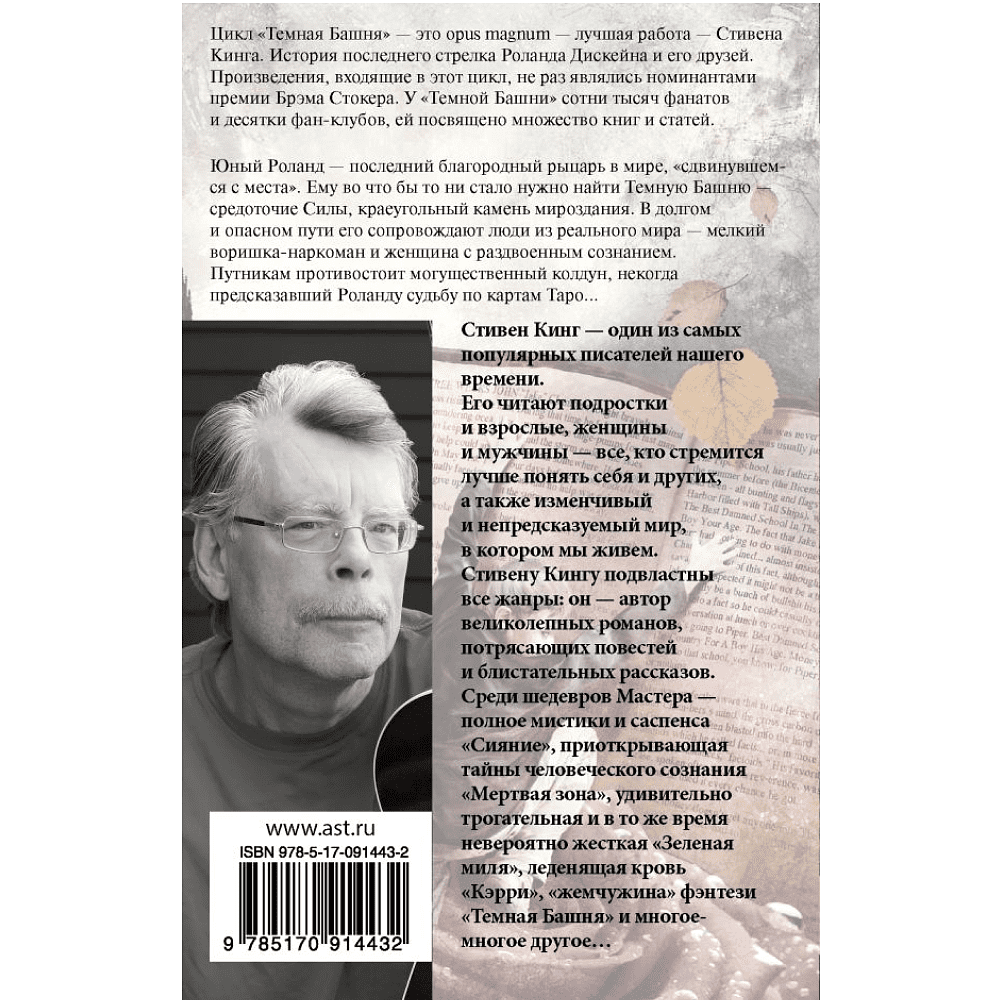 Книга "Бесплодные земли", Стивен Кинг - 2