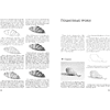 Книга "Рисование простым карандашом", Наталья Васильева - 6