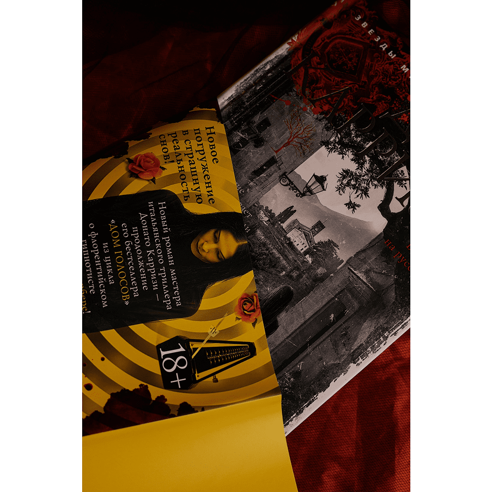 Книга "Дом молчания", Донато Карризи - 4