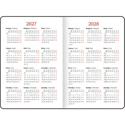 Ежедневник датированный "Impression" на 2027 год, А5, 352 страницы, серый  - 6