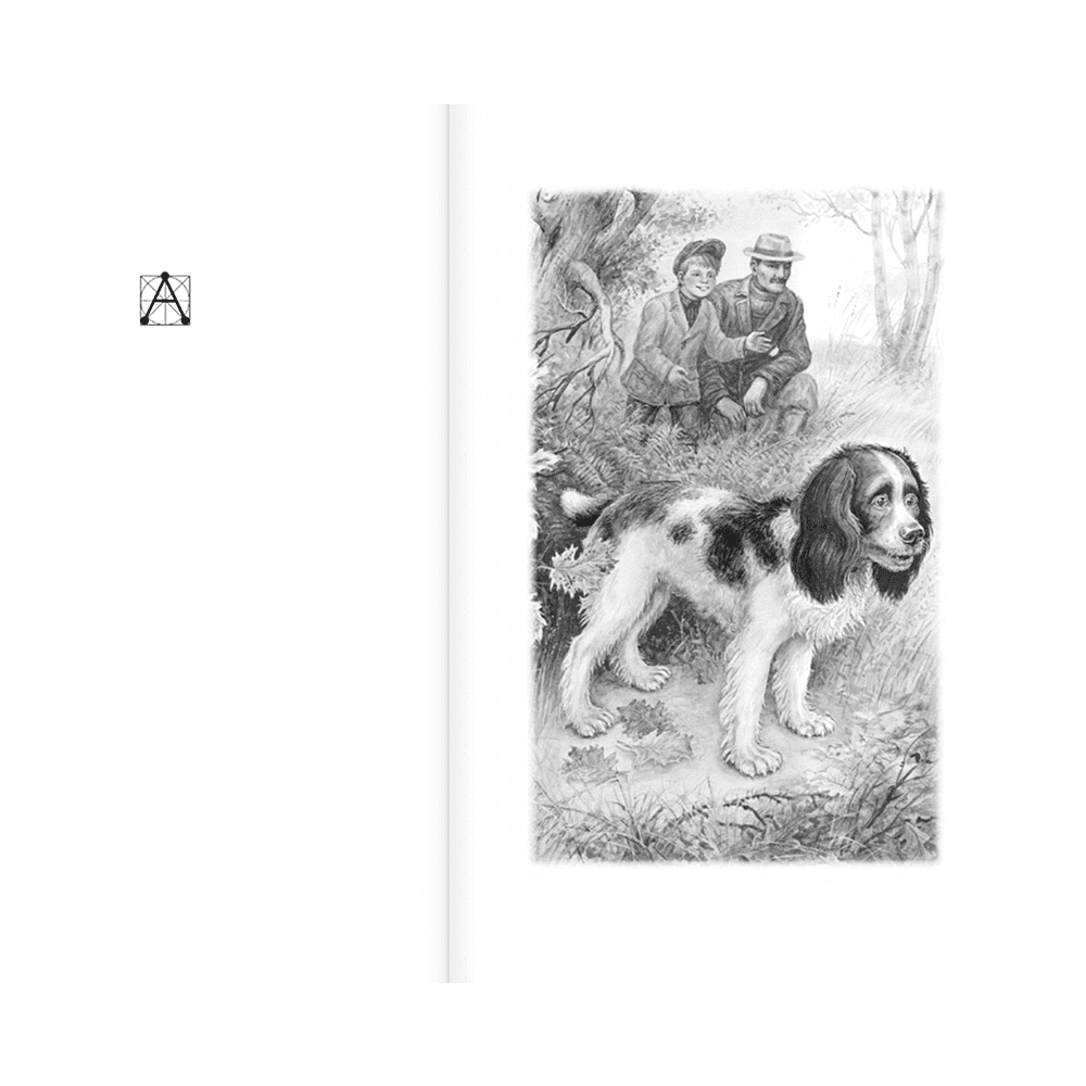 Книга "Детское чтение. Сказки и рассказы о животных", Виталий Бианки, Михаил Пришвин, Константин Ушинский и др. - 4
