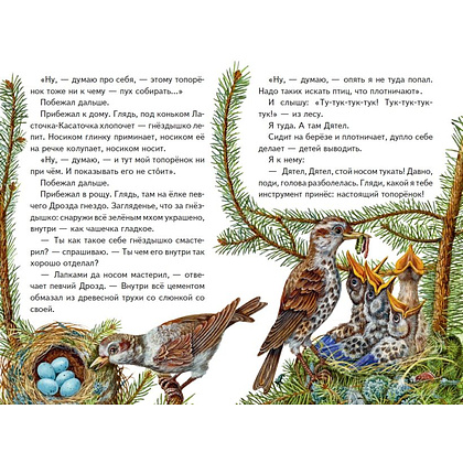 Книга "Книги для внеклассного чтения. Рассказы о зверятах (ил. В. и М. Белоусовых)" - 6