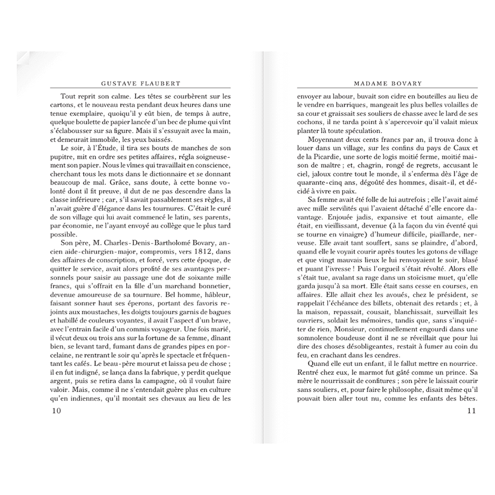 Книга на французском языке "Madame Bovary", Гюстав Флобер - 7