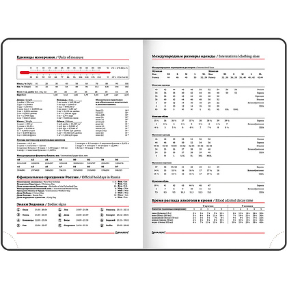 Ежедневник датированный "Legend", А5, 336 страниц, фиолетовый, 2023 - 9