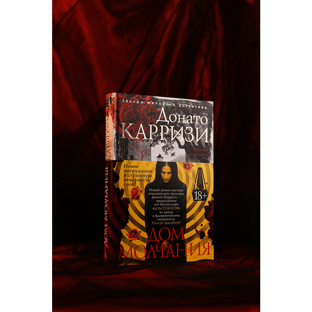 Книга "Дом молчания", Донато Карризи - 2