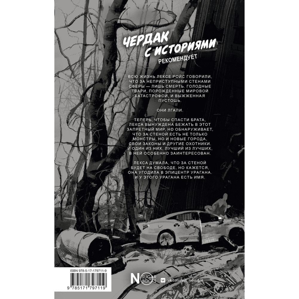 Книга "Черный Белый", Ри Гува - 3