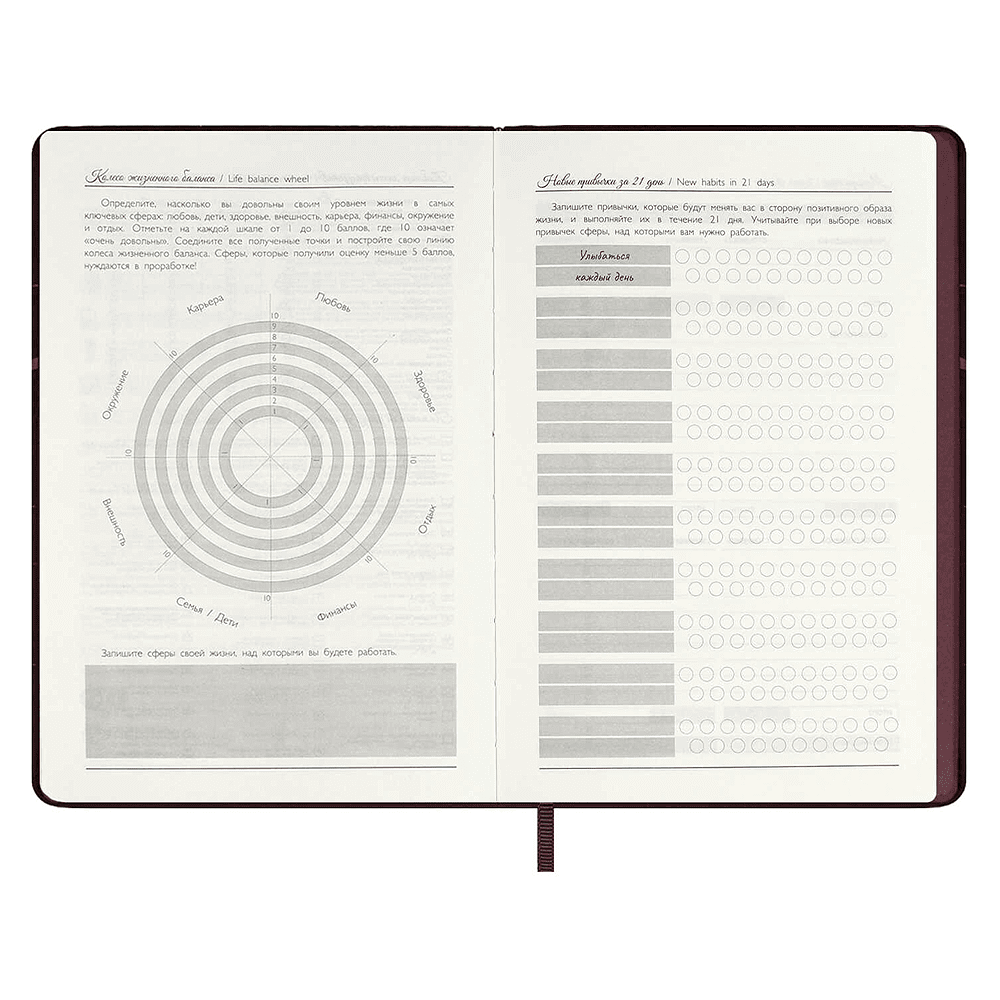 Ежедневник недатированный "Софт-тач", А5, 240 страниц, бордовый - 11