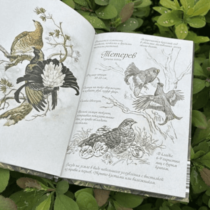 Книга "Птицы леса. Артбук", Geo Saiko, AquarelleWolf - 7