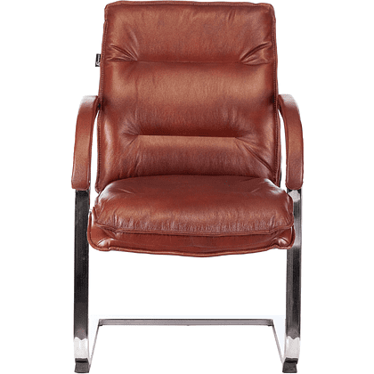 Кресло на полозьях "Бюрократ T-9927SL-LOW-V", натуральная кожа, светло-коричневый, металл хром