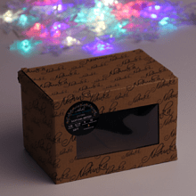 Гирлянда электрическая LED "Бахрома. Звезда", мультиколор