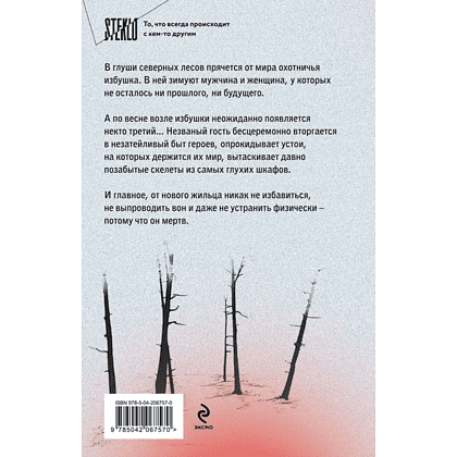 Книга "Сгинь!", Настасья Реньжина - 2