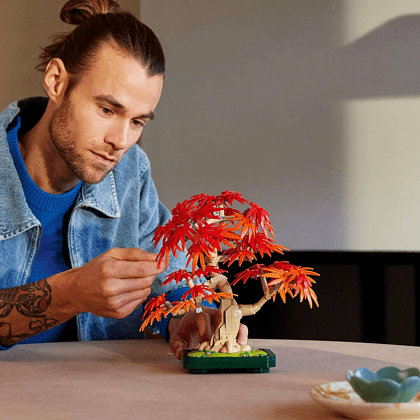 Конструктор "Lego", "Дерево Бонсай из японского красного клена" - 4