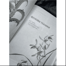 Книга "Основы японской живописи суми-э", Наталия Безвуляк