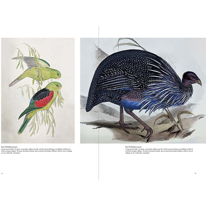 Книга на английском языке "Birds of the World. The Art of Elizabeth Gould", Andrea Hart, Ann Datta - 3