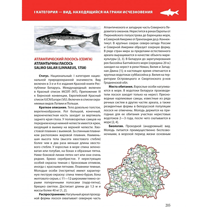 Книга "Красная книга Республики Беларусь. Животные" - 11