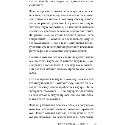 Книга "Кот с семью именами. Счастье приходит к тому, кто верит в чудеса", Федерико Сантаити - 9