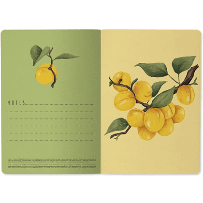 Тетрадь "Flora. Paradise. Абрикосы", A5, 40 листов, клетка, белый, желтый - 5