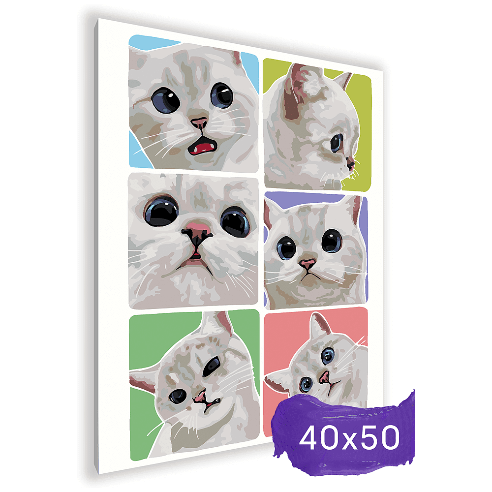 Картина по номерам "Эмоции белого котика" - 2 Картина по номерам "Эмоции белого котика" - 2