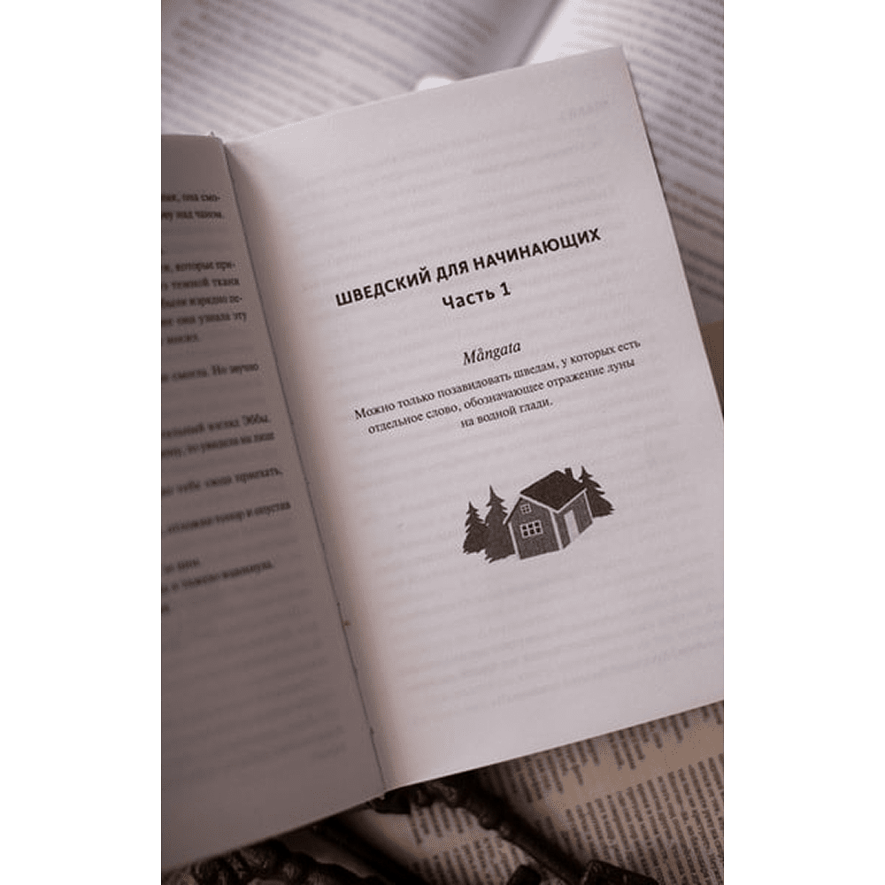 Книга "Чисто шведские убийства. Деревушка с секретами", Бьёрн Беренц - 3