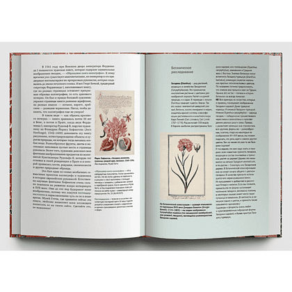 Книга  "Искусство и флора. От Аканта до Яблони", Ольга Козлова, Светлана Шехтер - 6