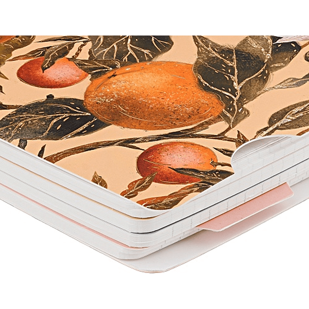 Книга записная "Flora. Paradise. Oranges", A5, 200 листов, клетка, линейка, точка, оранжевый - 3