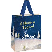 Пакет подарочный "Christmas magic", 18х23х10 см, ламинированный