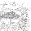 Книга "Цветочный сон котика Соры", Нацуки - 8