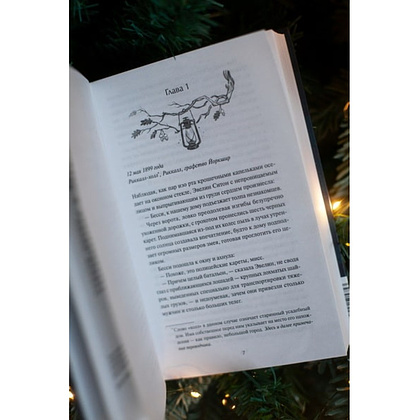 Книга "Книжная лавка фонарщика", Софи Остин - 5