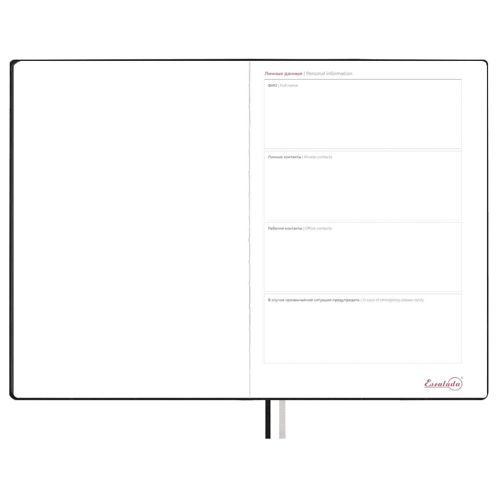 Еженедельник датированный "Тиволи Делавэ черный", А4, 160 страниц, черный, 2026 - 6