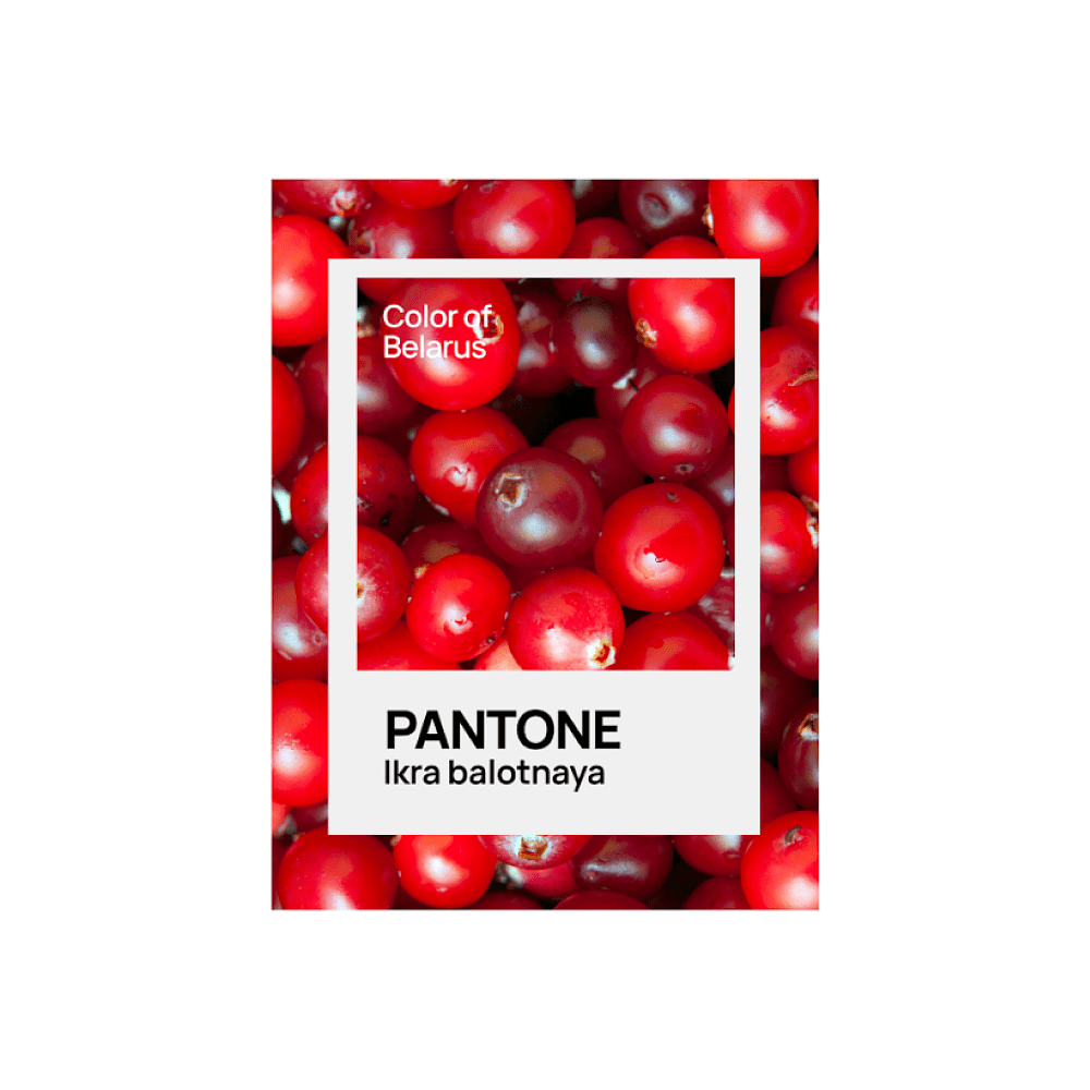 Кружка керамическая "Color of Belarus. Pantone Ikra balotnaya", 330 мл, белый - 2