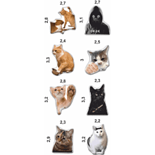 Набор наклеек объемных "Коты. Мемы №3", А6, 1 лист, 8 шт