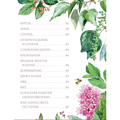 Книга "Растения в городе", Ирина Пескова - 5