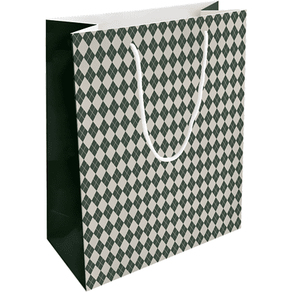 Пакет бумажный подарочный "Cage", 25х32х12 см, зеленый