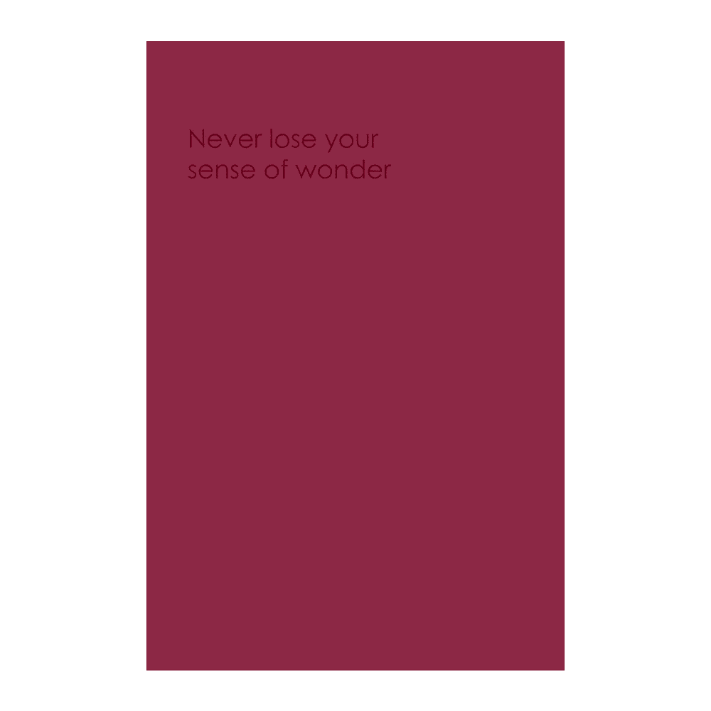 Ежедневник недатированный "Every Day. Magic", A5, 176 листов, бордовый - 3