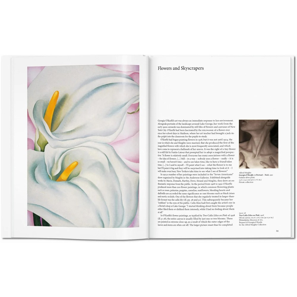 Книга на английском языке "Basic Art, O'Keeffe" - 2