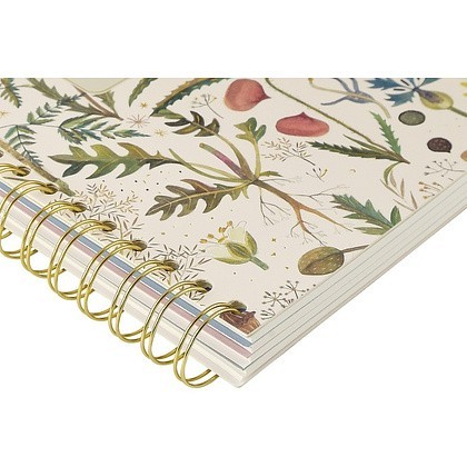 Книга записная "Flora. Луговые травы", А5, 150х210 мм, 120 листов, белый - 5