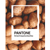 Футболка оверсайз «Pantone 2025» унисекс, белый, M-L  - 2