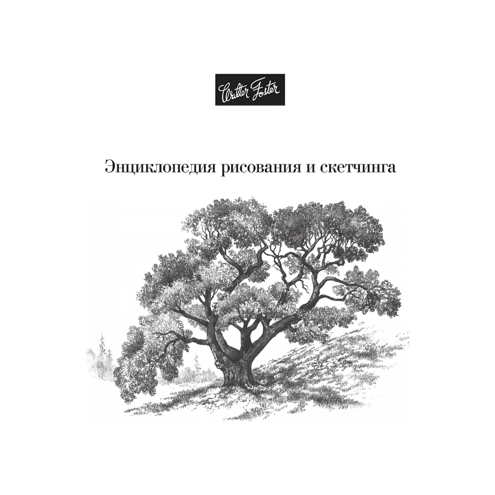 Книга "Энциклопедия рисования и скетчинга. Рисуем всё-всё! От кошек до деревьев и гор. Более 50 проектов", Анастасия Чудова - 15