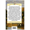 Книга "Кентервильское привидение" (с иллюстрациями), Оскар Уайльд - 10