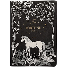 Ежедневник датированный "Fortune" на 2026 год, А5, черный