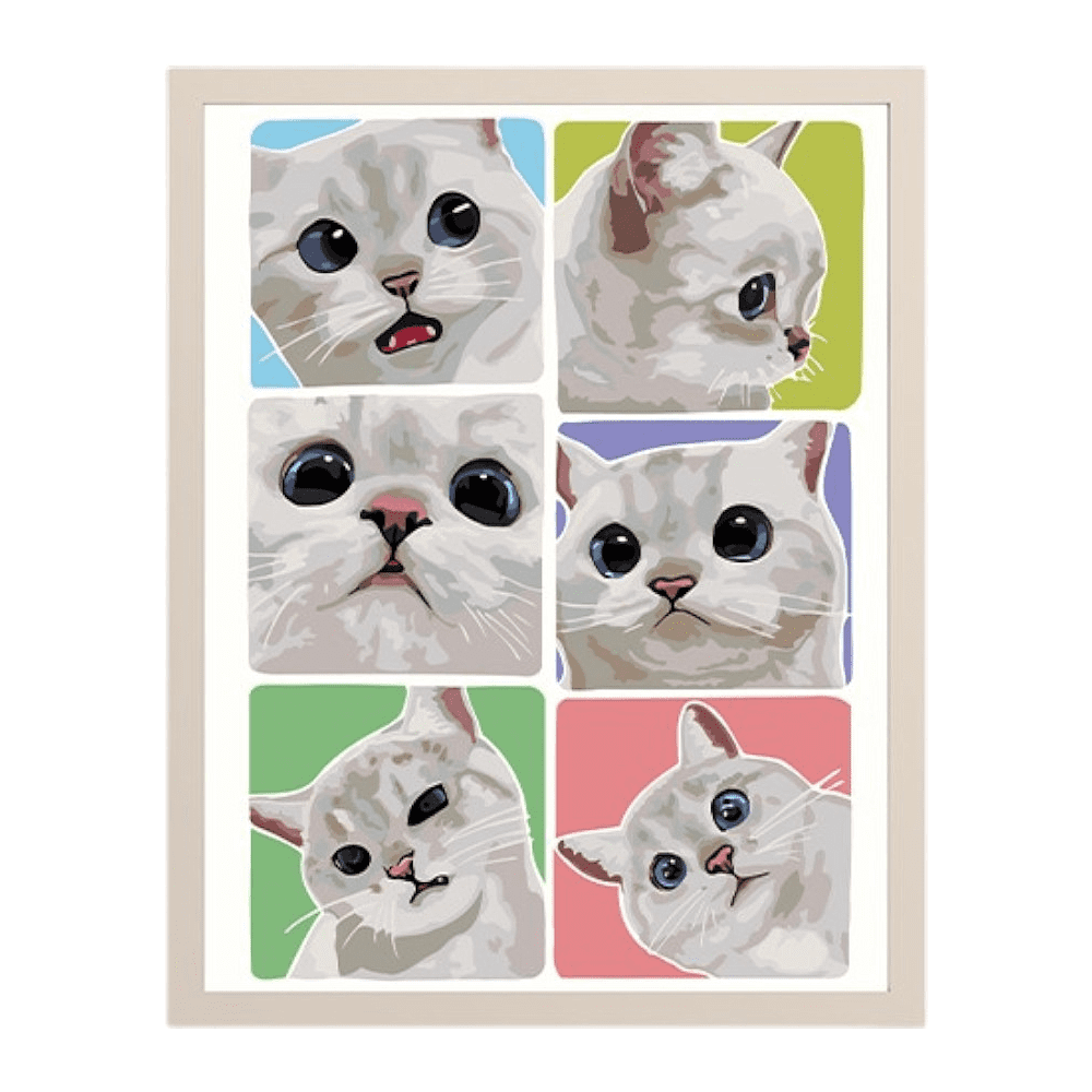 Картина по номерам "Эмоции белого котика" Картина по номерам "Эмоции белого котика"