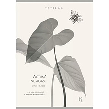 Тетрадь "Латынь", А4, 80 листов, клетка, ассорти