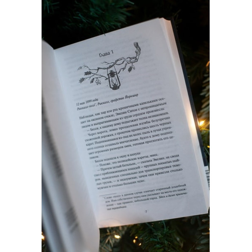 Книга "Книжная лавка фонарщика", Софи Остин - 5