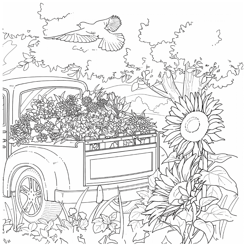Книга "Цветочный сон котика Соры", Нацуки - 8