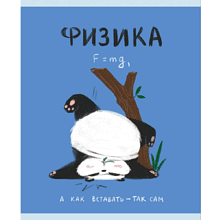 Тетрадь "Панда. Физика", А5, 48 листов, клетка 