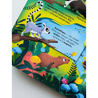 Книга "Книжка с окошками. Мир животных" - 10