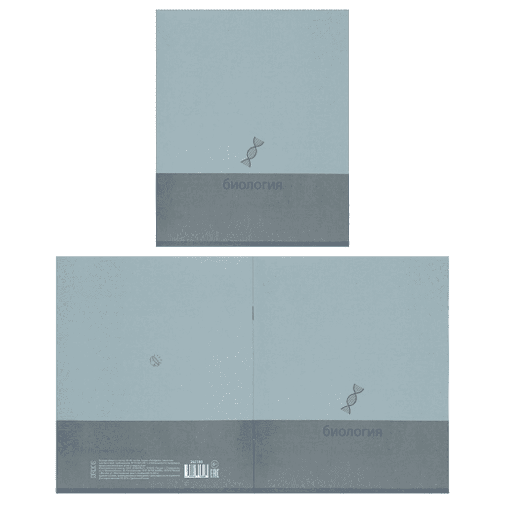 Тетрадь предметная "Биология. Pictogram", А5, 48 листов, клетка, бирюзовый - 4