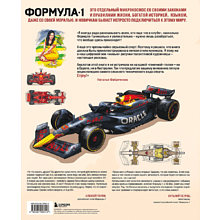 Книга "Семейная энциклопедия. Формула-1", Наталья Фабричнова