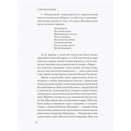 Книга "Самая полная биография. Есенин", Василий Берг - 7